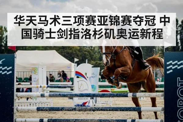 horse show jumping